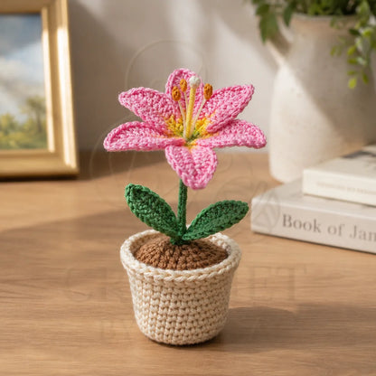 Crochet Flower Pot